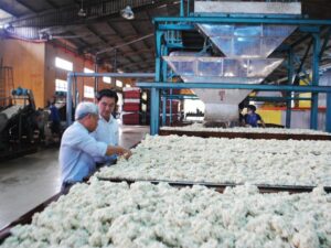 bên trong nhà máy sản xuất sản phẩm từ cao su có nhiều máy móc