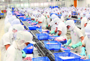 cơ sở chế biến thực phẩm cần lắp đặt bể tách mỡ