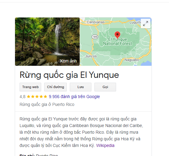 rung quoc gia El Yunque