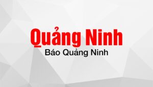 logo bao quang ninh