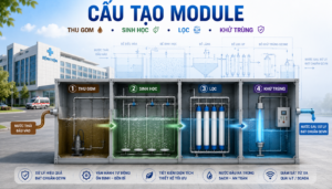NGUYEN LY MODULE