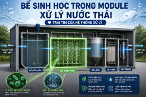 be sinh hoc trong module xu ly nuoc thai