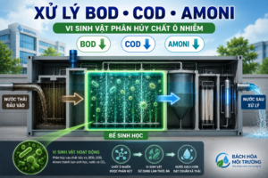 vai tro cua be sinh hoc trong module xu ly nuoc thai